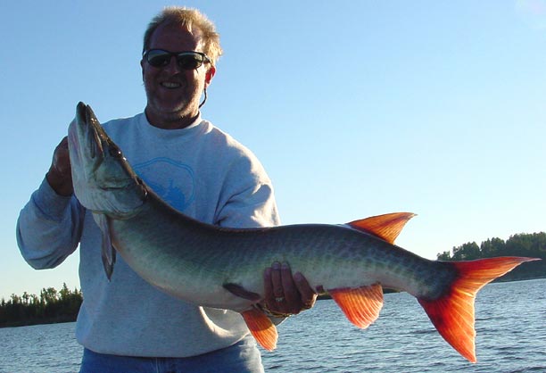 Secrets for Ontario Muskies