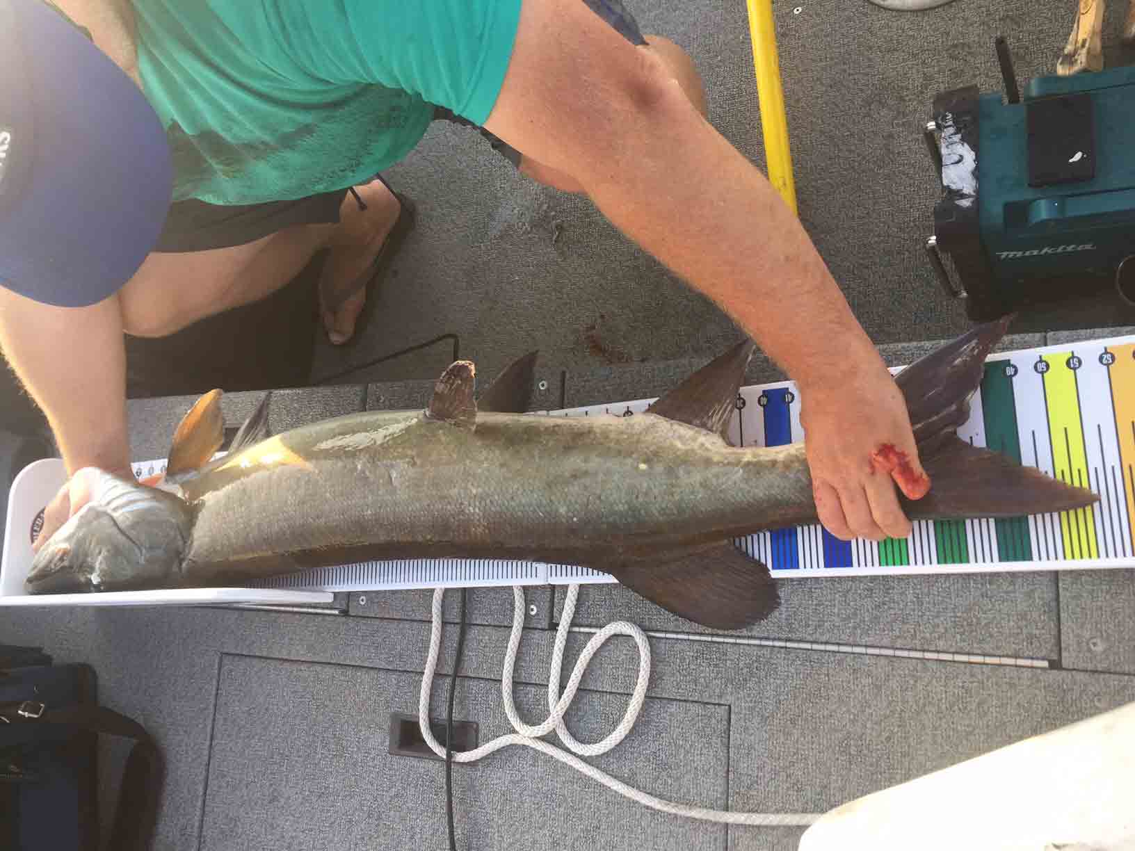 Minaki Top Fishing Resort Sunset Point Minaki