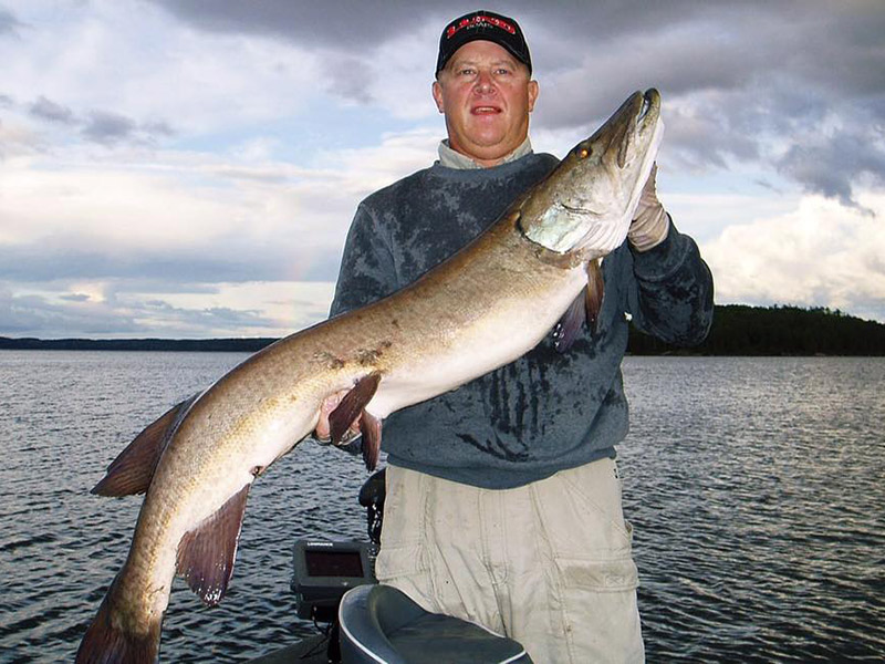 Minaki Trophy Muskie