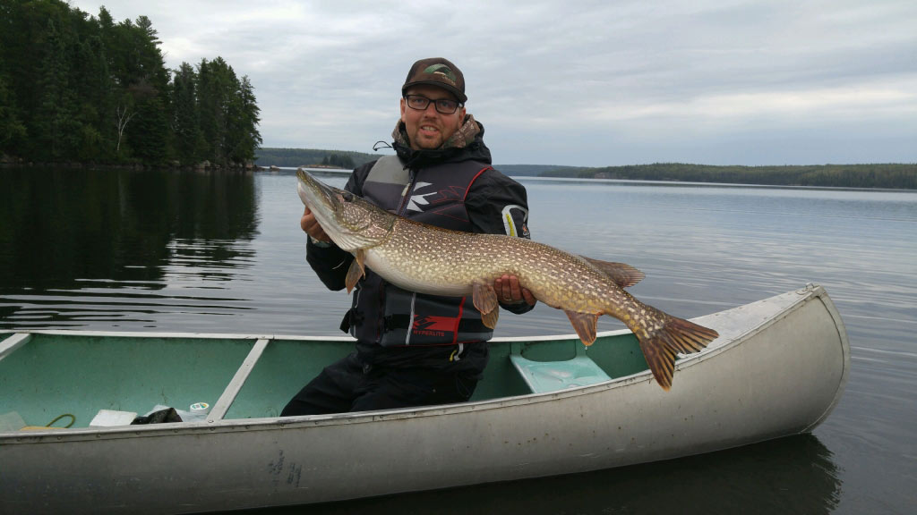 Northern Pike Fishing Sunset Point Minaki Ontario